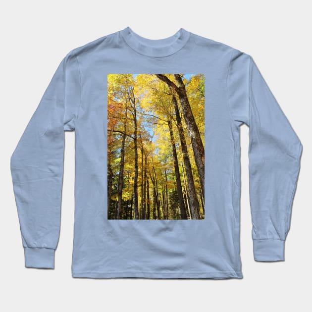 Autumn sun through the trees Long Sleeve T-Shirt by croper